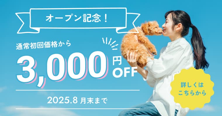 オープン記念価格